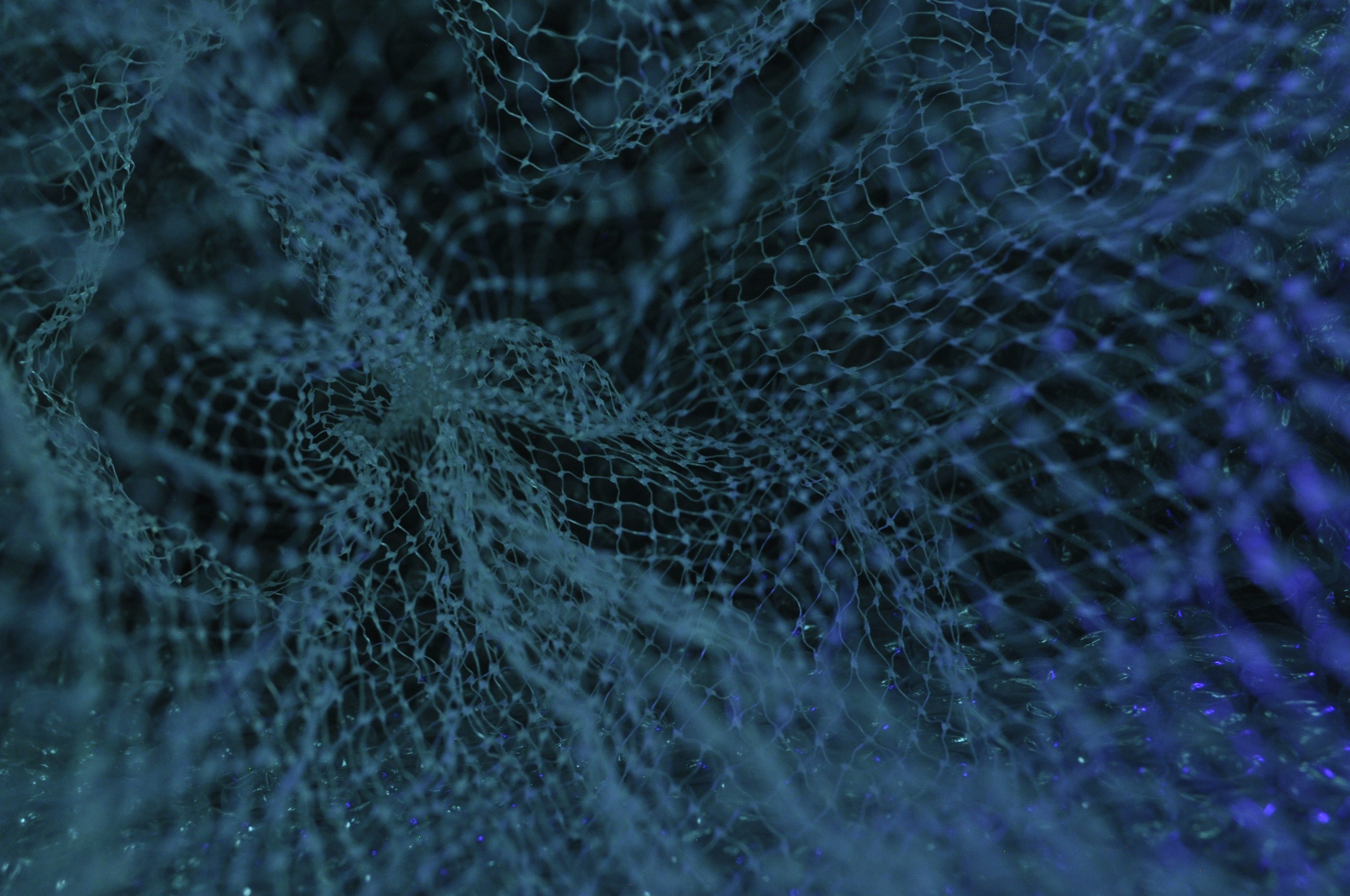 Abstract visualization of a decision network connecting enterprise systems and AI agents